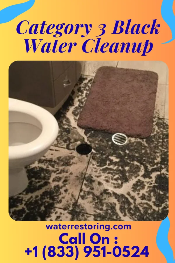 Category 3 Black Water Cleanup in Pownal Center, VT