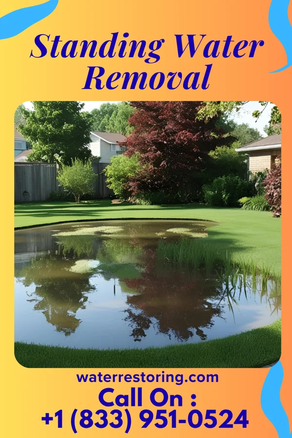 Standing Water Removal in Pownal Center, VT